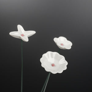 Wiesenblumen Weiß, groß