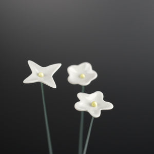 Wiesenblumen Weiß, klein