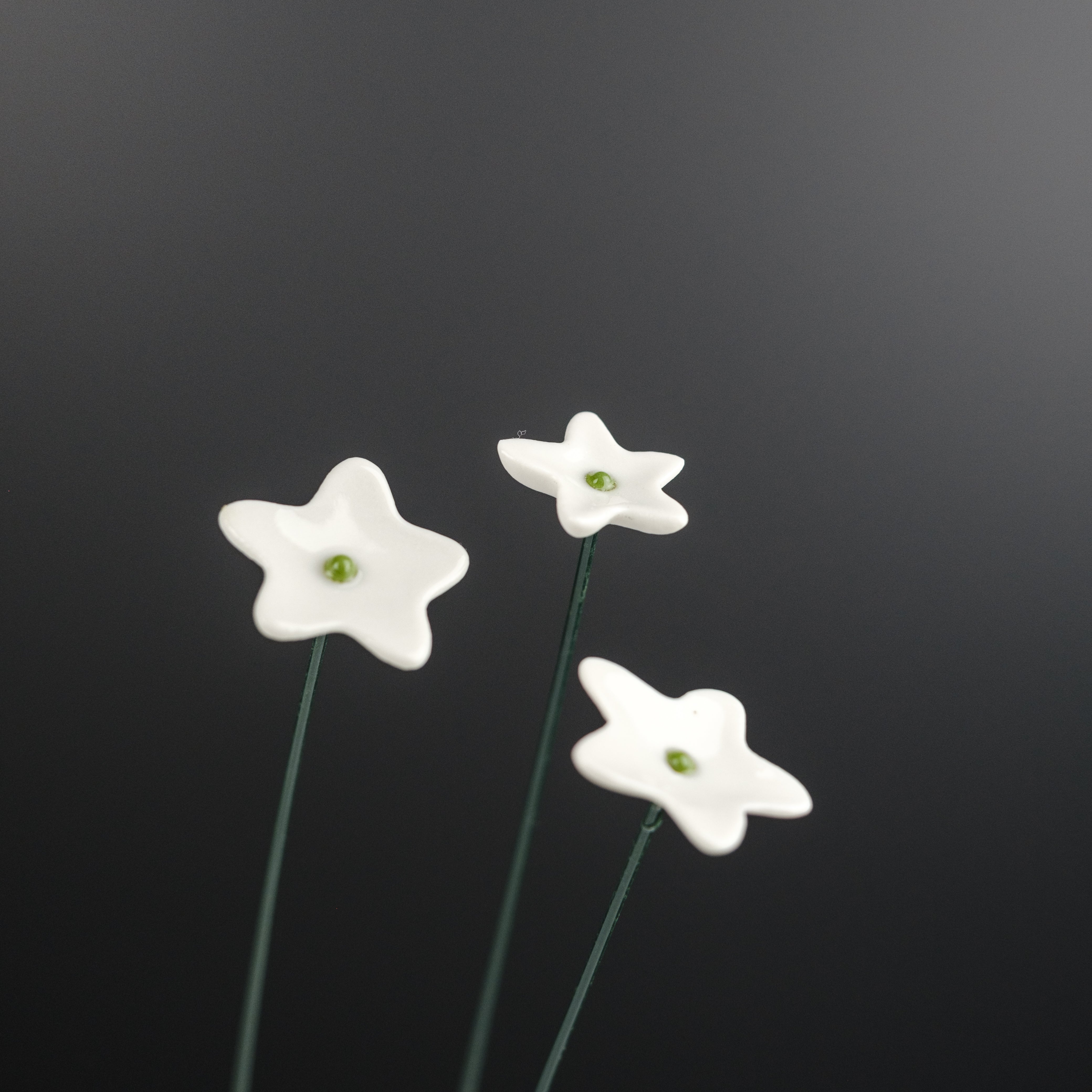 Wiesenblumen Weiß, klein